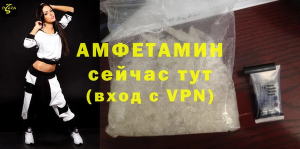 индика Вязники