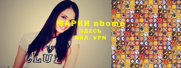 индика Вязники