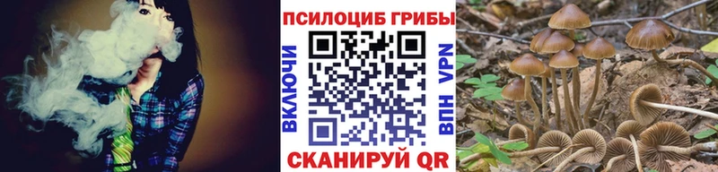 Галлюциногенные грибы Cubensis  Купить  Мценск 
