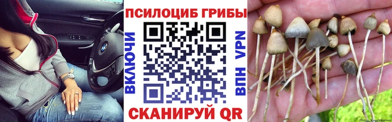 Галлюциногенные грибы ЛСД Мценск